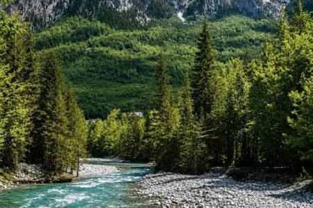 Transfer / Tour from Shkoder to Valbona via Koman Lake & Shala River