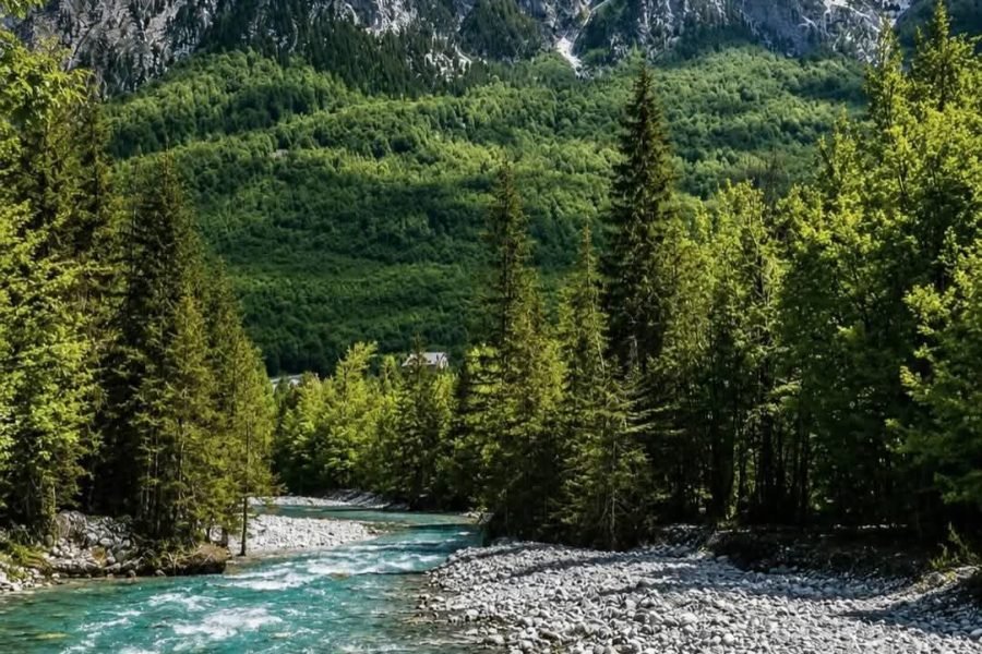 Transfer / Tour from Shkoder to Valbona via Koman Lake & Shala River